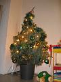 Imme 13 december 2008 (2) kerstboom